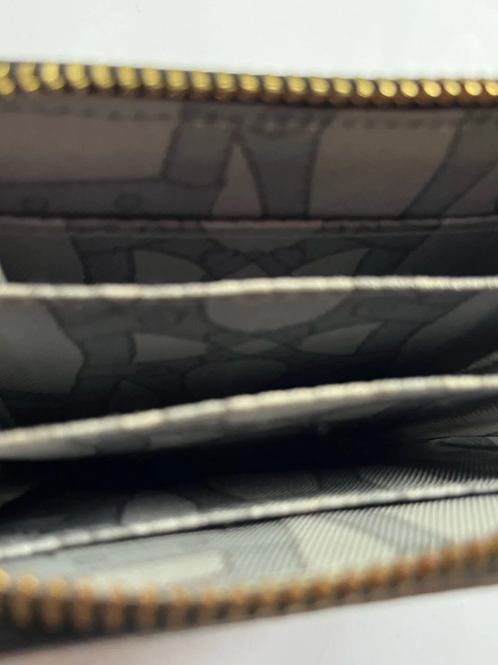 Aimee Kestenberg Brixton Metallic Silver Leather Zip Around Wallet